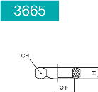 RING NUT -3665-